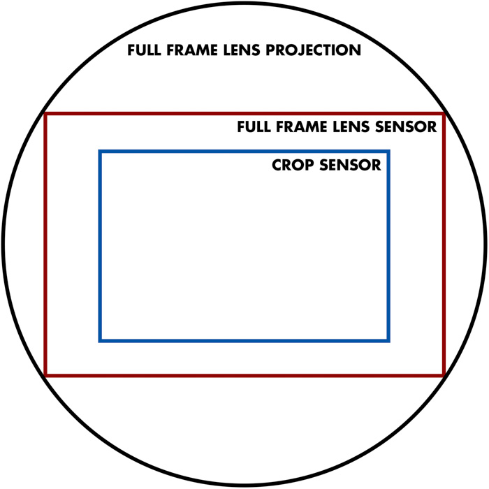 显示全框架镜头投影，全框架镜头传感器和裁剪传感器的裁剪系数的图