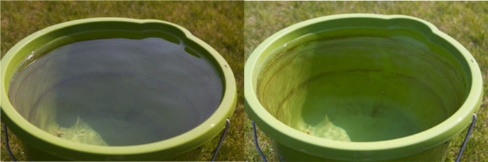 在使用偏光滤光片之前和之后的绿色桶的同一照片的浸渍照片