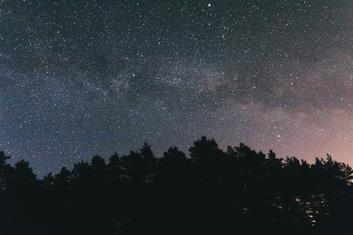 令人惊叹的银河照射摄影射击了在树剪影的一颗星填装的夜空