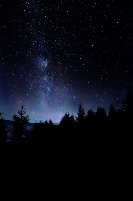 大气射击一颗星填装了在一个森林的天空在晚上