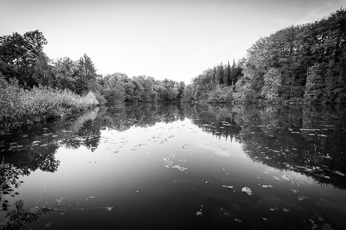 黑白红外摄影射击了一个池塘在比利时