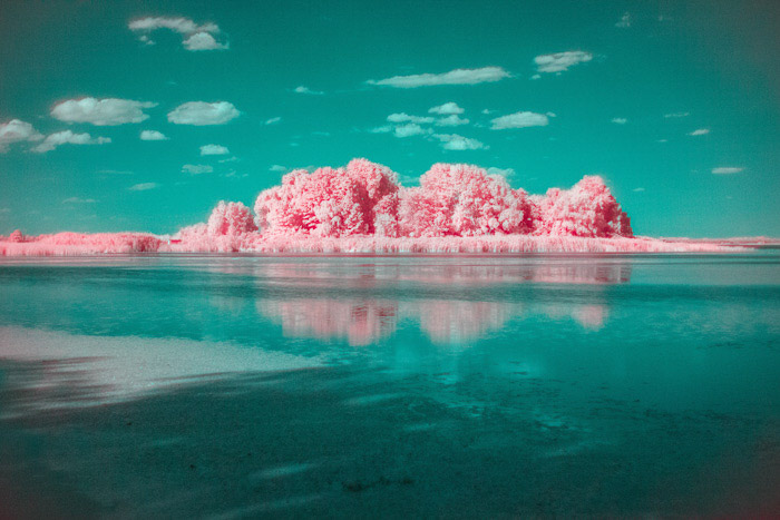 一个引人注目的蓝绿色和粉红色的风景通过红外摄影捕捉