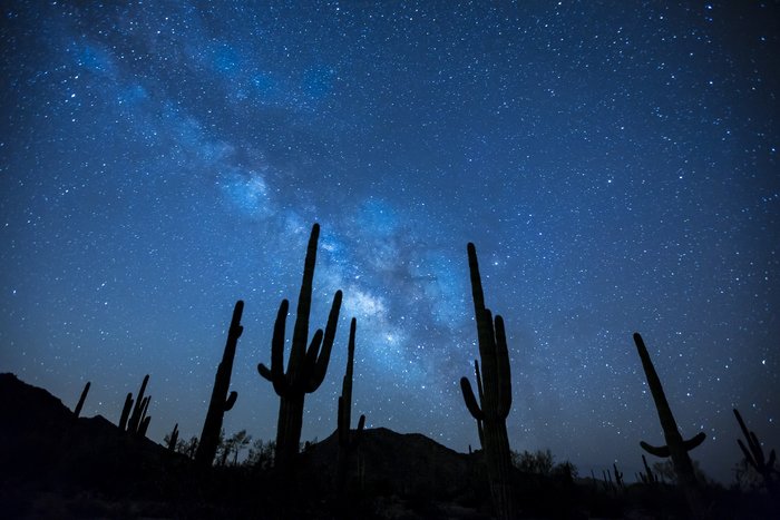 令人惊叹的天空摄影射击了在仙人掌剪影的星填装的天空