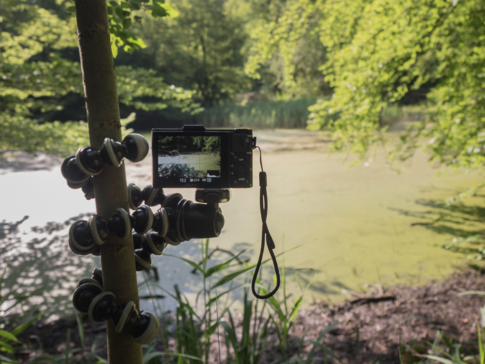 景观摄影的三脚架：安装在joby gorillapod slr zoom包裹在树上的相机