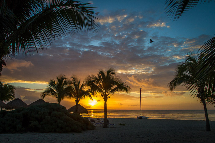 海岸摄影:日落海滩上的棕榈树，岩石和船