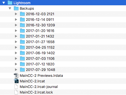了解Lightroom目录：检查文件夹中的多余备份示例