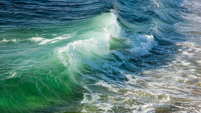一股新鲜的绿浪在海里