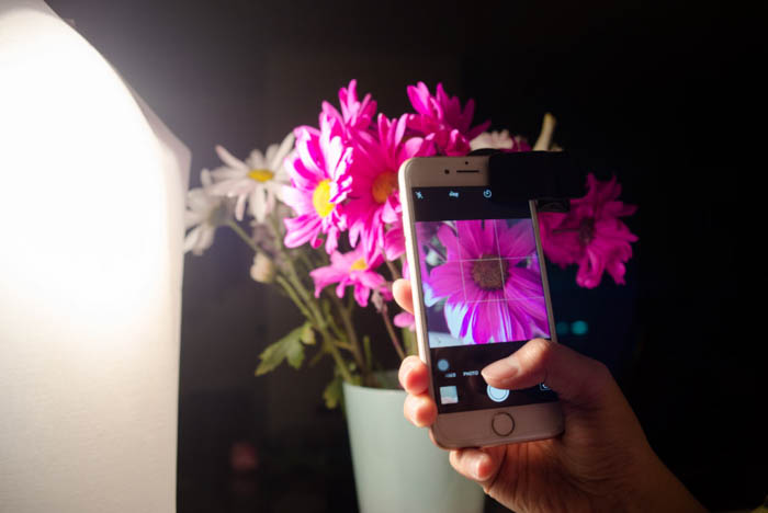 室内智能手机宏观摄影设置与盆的粉红色ayx大小花