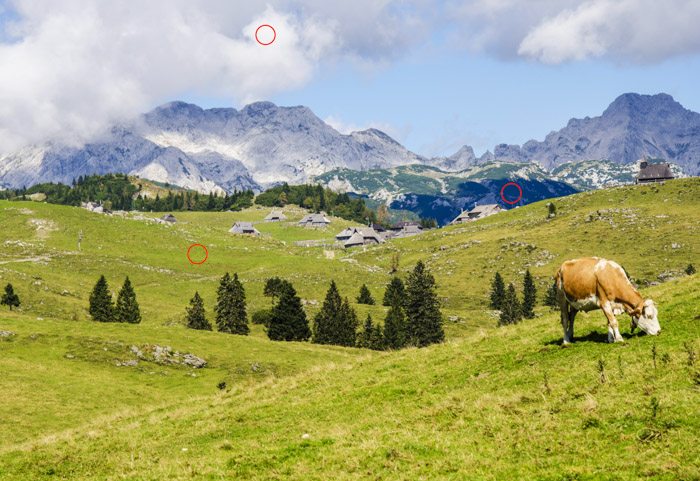 在一个晴朗的日子里，一头奶牛在绿色的田野里吃草，背景是群山。用光度计检查暗区和亮区。