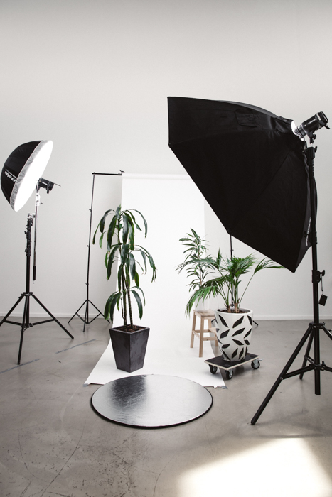 以白色为背景的灯光和植物组成的摄影工作室