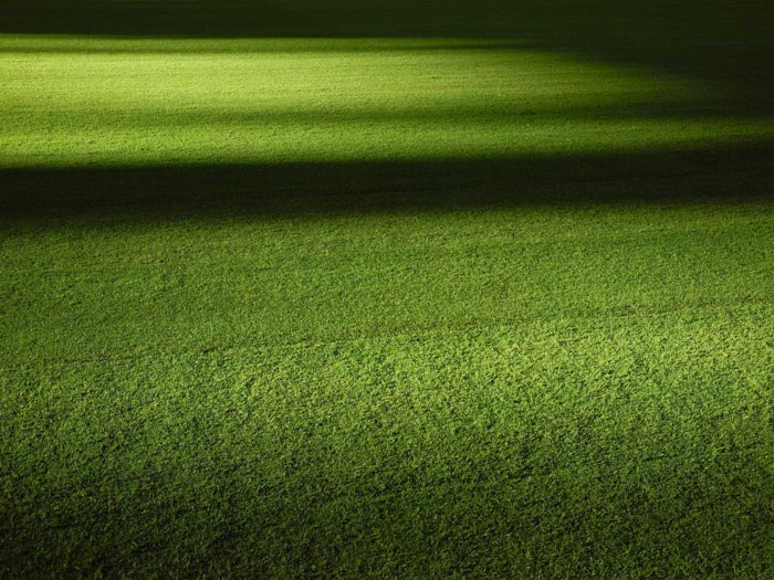 草的照片与朦胧的散景效果背景