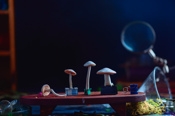 小蘑菇夹在一张微小的红色桌子上，为静物烟拍摄拍摄