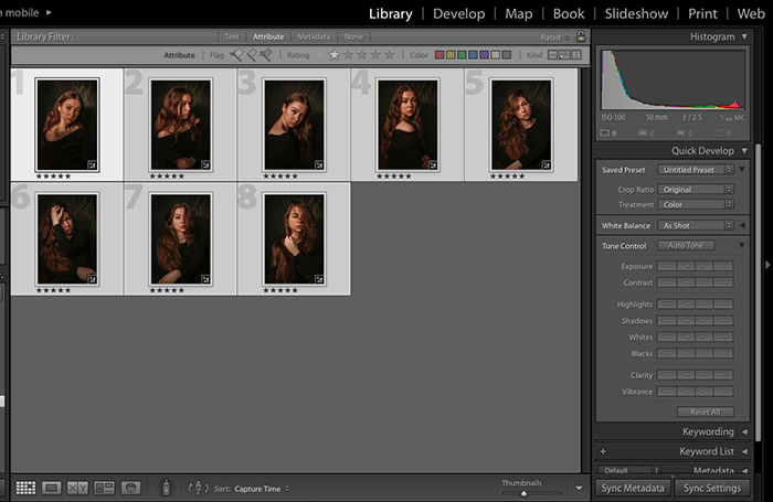 Screenshot showing how to apply Lightroom presets to many images at once