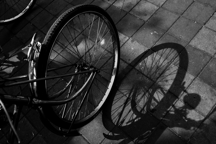 一个自行车轮子和它的影子的黑白照片