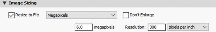 使用Megapixels选项将如何调整Lightroom中图像大小的屏幕截图