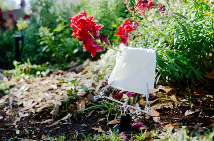 在花和植物之间设置的白色毛巾改善花的照片