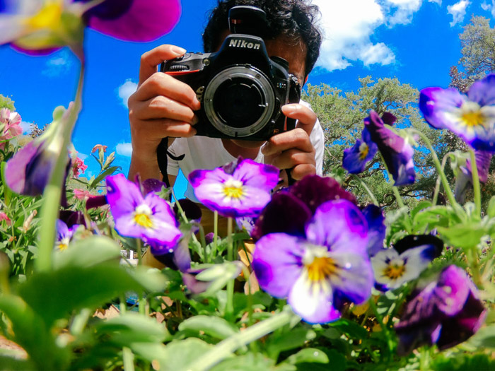 一位摄影师用单反相机拍了一张紫色的花