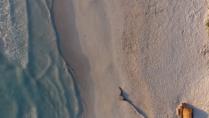 一个人沿着海滩奔跑的航拍电影