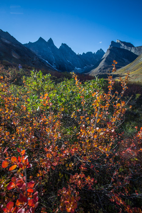 一个lucious秋天的照片拍摄的山与树叶在前景