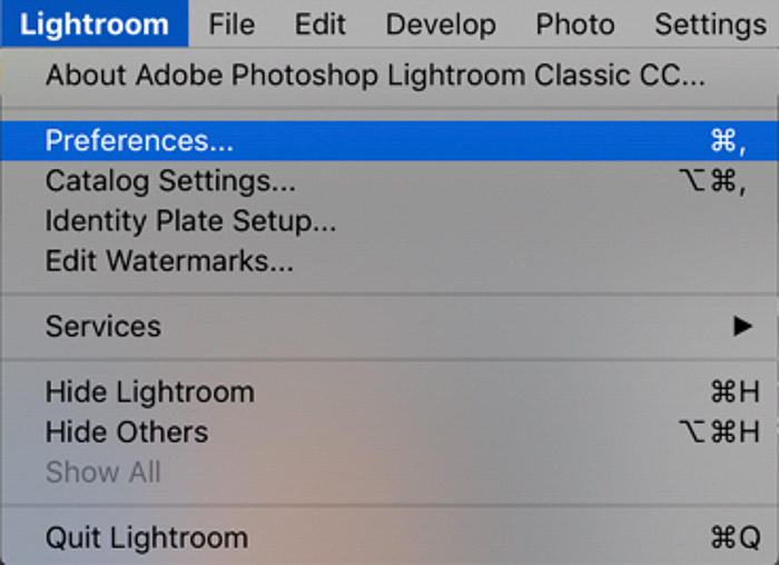 屏幕截图显示如何在Lightroom组织照片