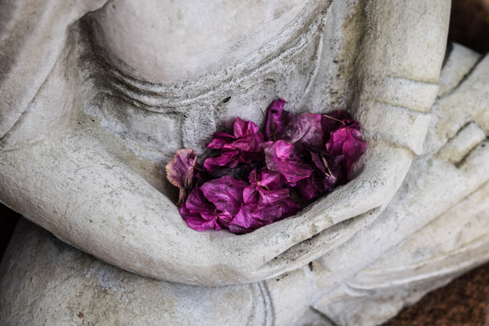 紫色的花朵聚集在一个石像的怀抱里——摄影中的象征意义