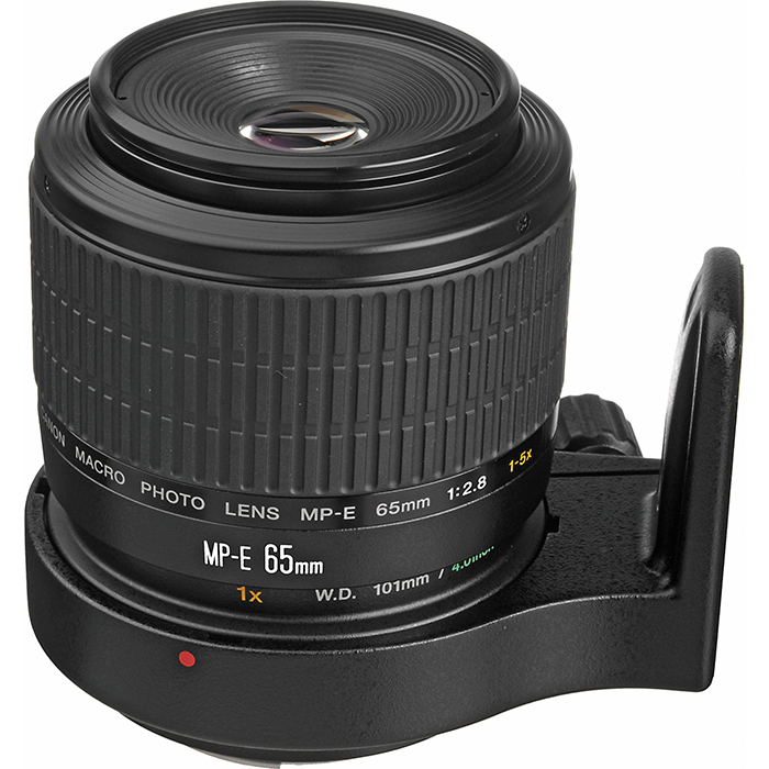 佳能EF MP-E 65mm f/2.8 1-5倍微距镜头