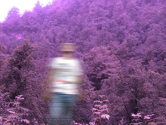 运动迷离照片的一个人在紫色树前面的