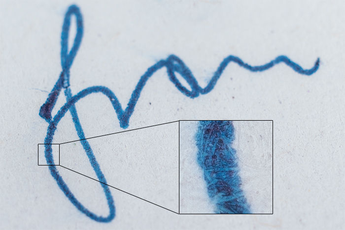 a macro photo of a section of handwriting