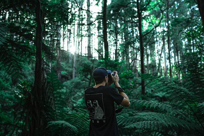 一个人在一个绿色森林里射击照片