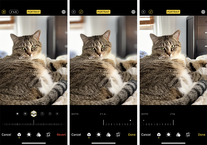 三联猫肖像使用iPhone在f/4.5, f/1.4，和f/16。