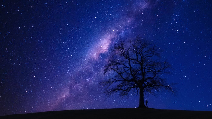 令人惊叹的天文摄影拍摄的星星充满天空上方的剪影的一棵树