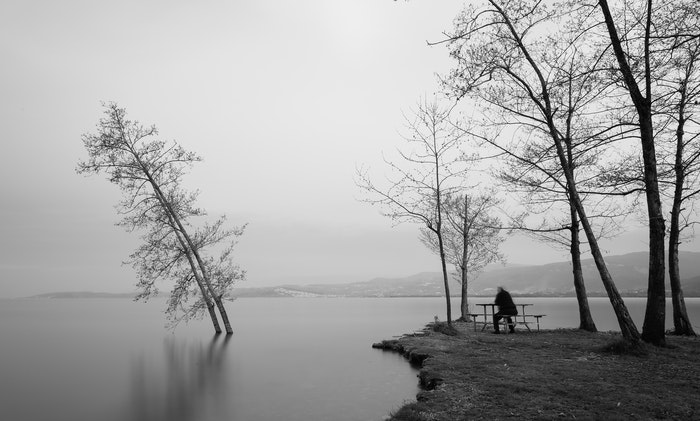 一幅湖泊中树木的黑白风景