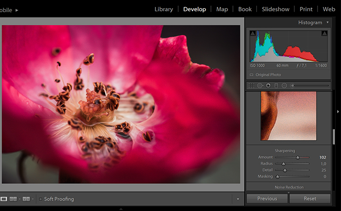 锐化工具的Adobe Lightroom照片编辑软件