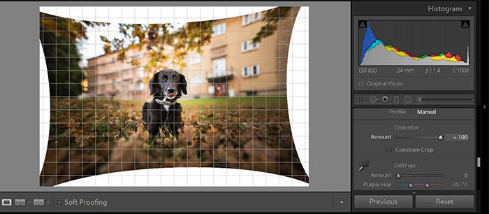 使用Adobe Lightroom的透视矫正工具进行编辑照片的屏幕截图